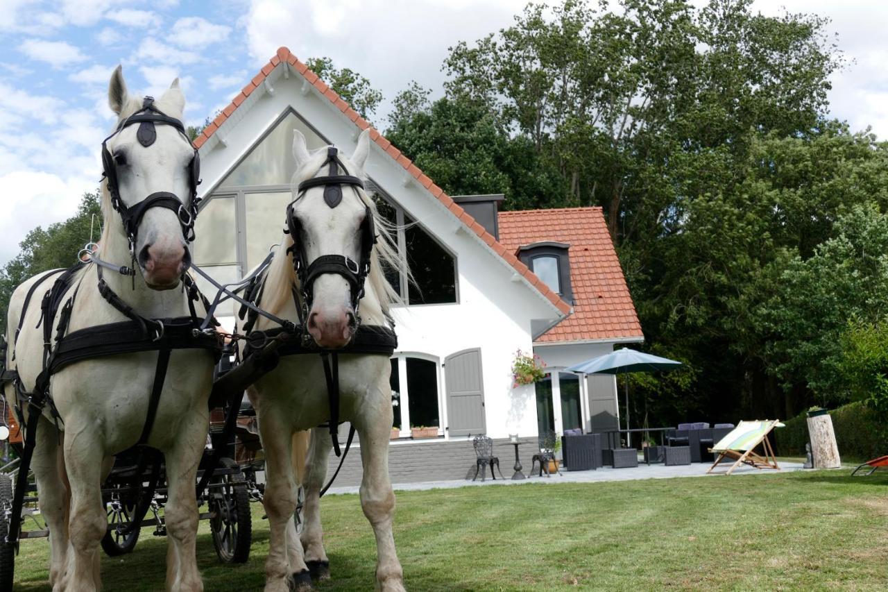Bed and Breakfast La Garonde Boeschepe Экстерьер фото